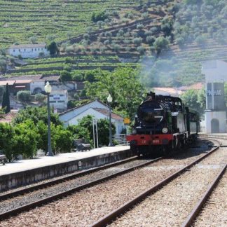 comboio histórico no Douro