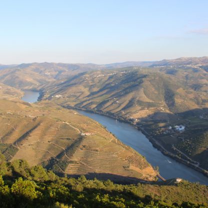 douro-valle-tour