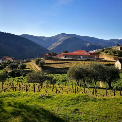 douro-valley-wine-tour