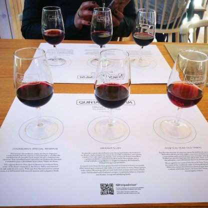 cruzeiro-no-douro-visita-e-prova-de-vinho