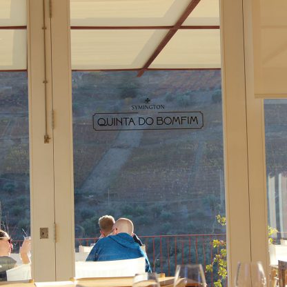 cruzeiro-no-douro-visita-e-prova-de-vinho