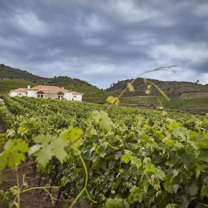 Tour-no-douro