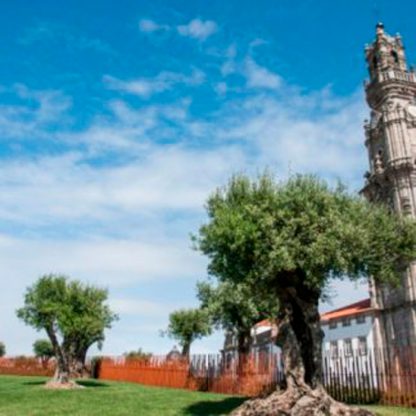 porto-city-tour