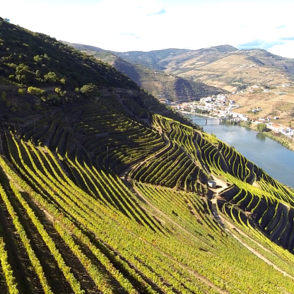 Tour-in-douro-valley