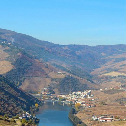 douro-valley-tour