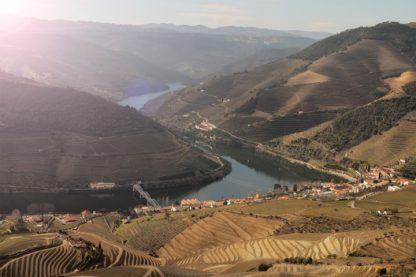 douro-valley-tour