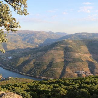 3-days-program-douro-valley