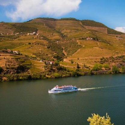 Cruzeiro no douro e Quinta