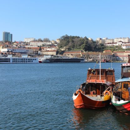 cruise-by-the-bridges-and-foz-in-douro