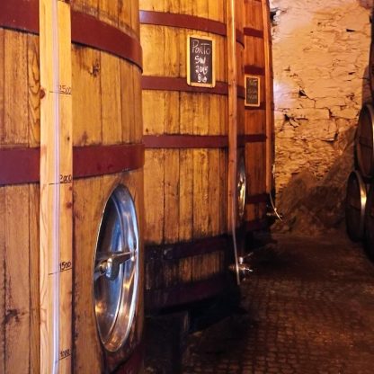 programa-de-luxo-no-douro