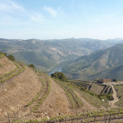 Walk-in-Douro-valley
