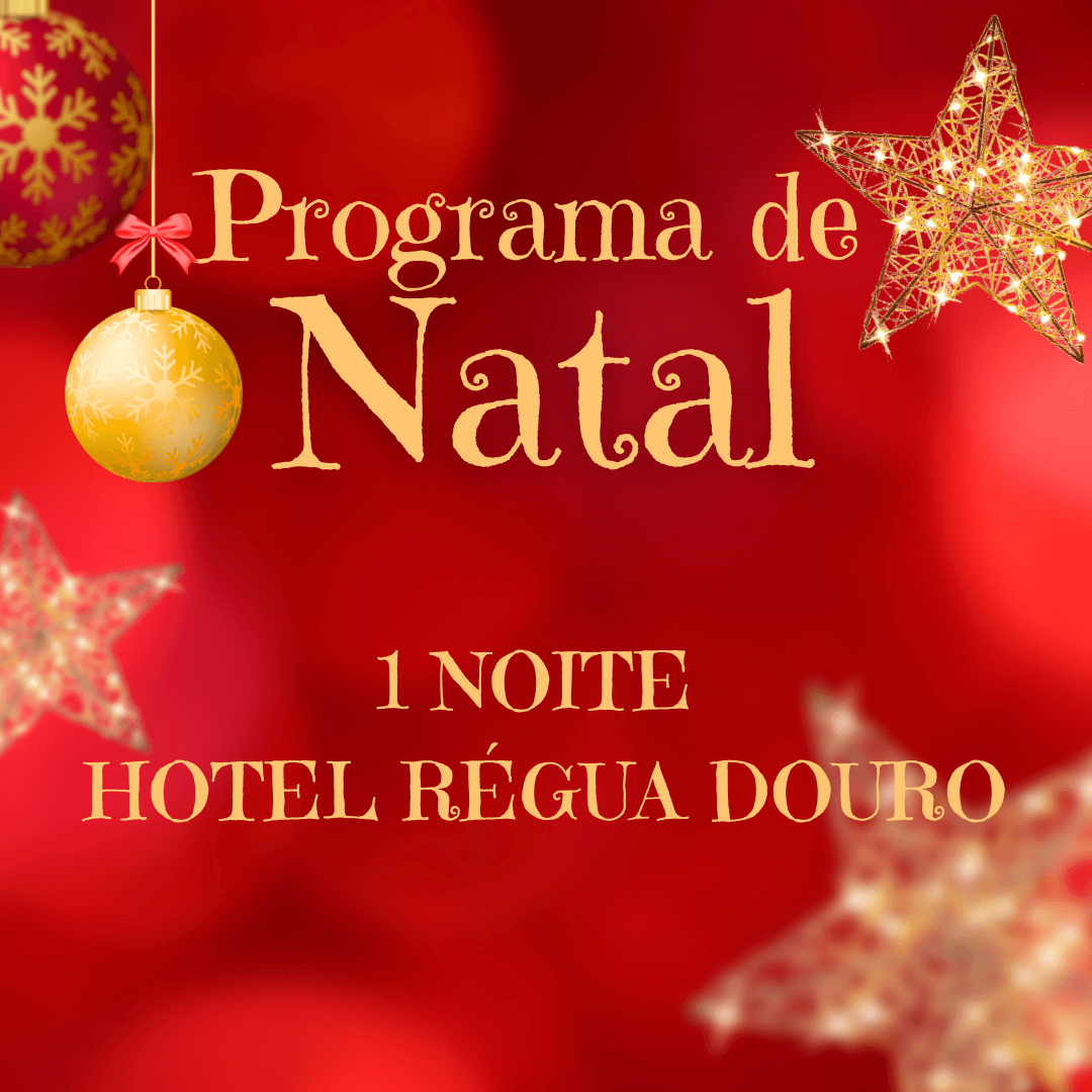 Celebre um Natal Mágico - Programa de Natal 1 noite Hotel Régua Douro