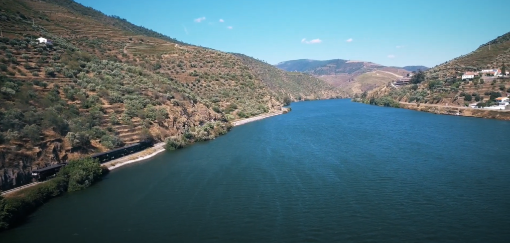 Comboio histórico passando entre as vinhas e o Rio Douro.