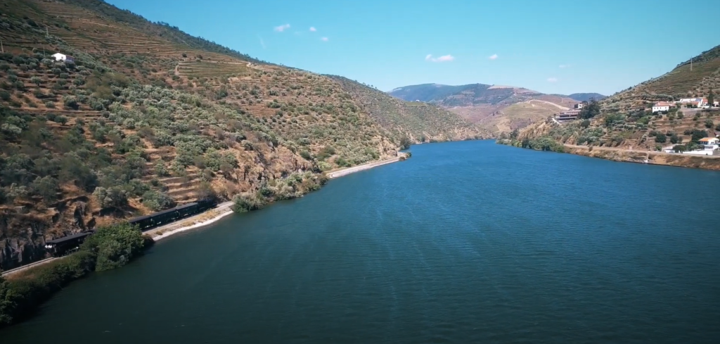 Comboio histórico passando entre as vinhas e o Rio Douro. 